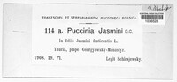 Puccinia jasmini image